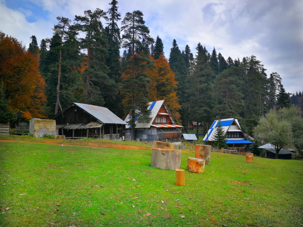 Kampçilik - Avcidere Gürgenli̇k - Fotoğraf 8